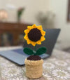 Crochet Sunflower Pot